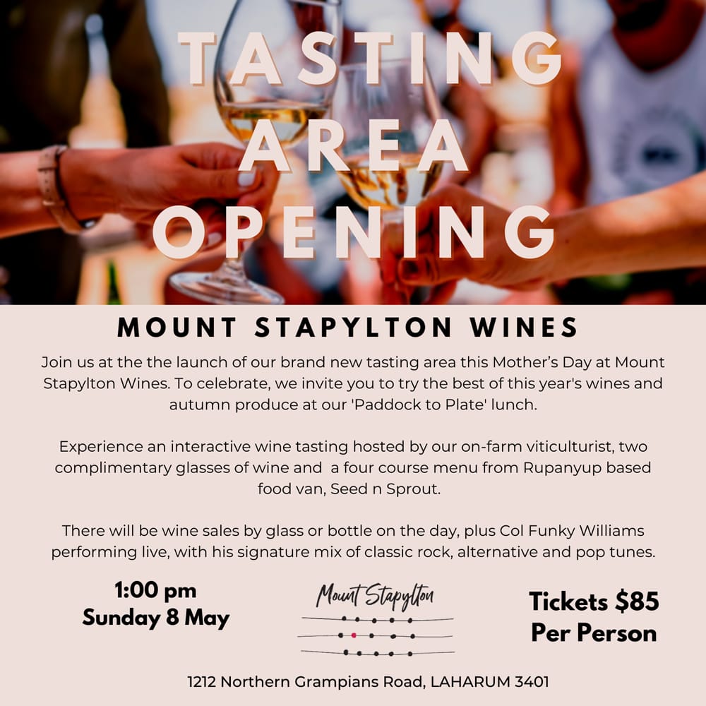 Mount Stapylton Wines Tasting Area Opening